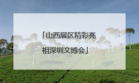 山西展区精彩亮相深圳文博会