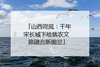 山西岢岚：千年宋长城下绘就农文旅融合新图景