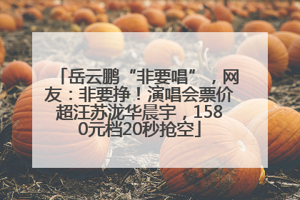岳云鹏“非要唱”，网友：非要挣！演唱会票价超汪苏泷华晨宇，1580元档20秒抢空