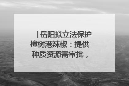 岳阳拟立法保护樟树港辣椒：提供种质资源需审批，违规最高罚5万