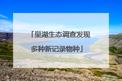 巢湖生态调查发现多种新记录物种