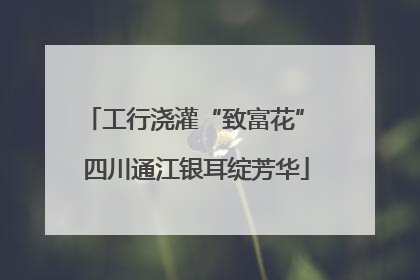 工行浇灌“致富花” 四川通江银耳绽芳华