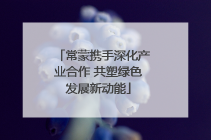 常蒙携手深化产业合作 共塑绿色发展新动能