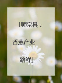 师宗县：香葱产业一路鲜