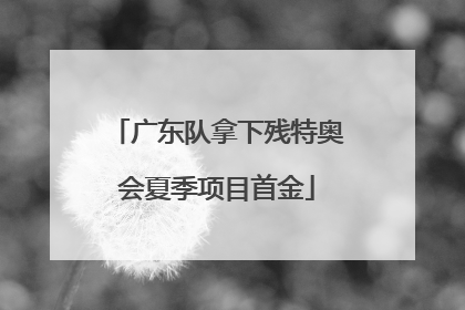广东队拿下残特奥会夏季项目首金