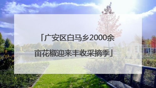 广安区白马乡2000余亩花椒迎来丰收采摘季