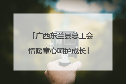 广西东兰县总工会情暖童心呵护成长