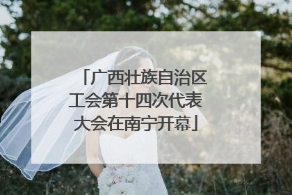 广西壮族自治区工会第十四次代表大会在南宁开幕