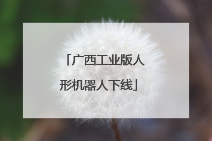 广西工业版人形机器人下线