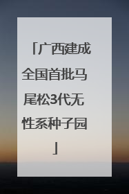 广西建成全国首批马尾松3代无性系种子园