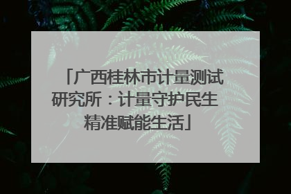 广西桂林市计量测试研究所：计量守护民生 精准赋能生活