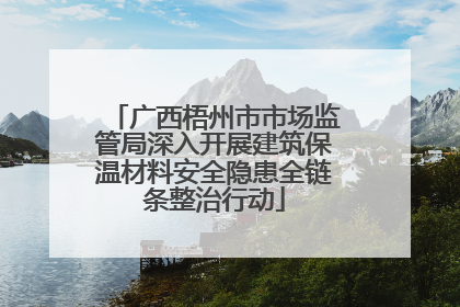广西梧州市市场监管局深入开展建筑保温材料安全隐患全链条整治行动