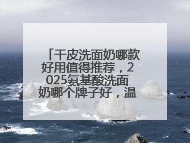 干皮洗面奶哪款好用值得推荐，2025氨基酸洗面奶哪个牌子好，温和在线