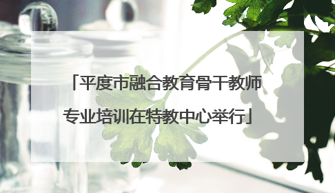 平度市融合教育骨干教师专业培训在特教中心举行