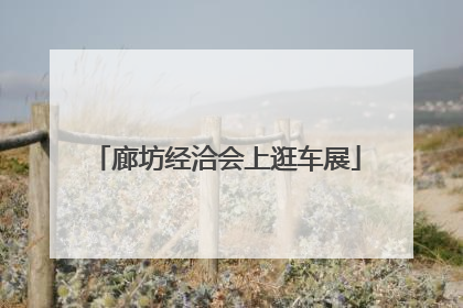 廊坊经洽会上逛车展