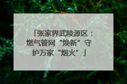张家界武陵源区：燃气管网“焕新”守护万家“烟火”