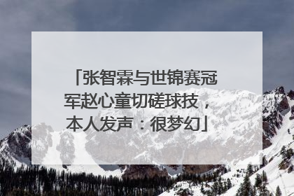 张智霖与世锦赛冠军赵心童切磋球技，本人发声：很梦幻