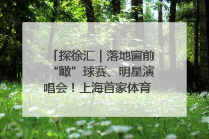 探徐汇｜落地窗前“瞰”球赛、明星演唱会！上海首家体育特色高端酒店亮相