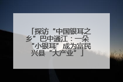 探访“中国银耳之乡”巴中通江：一朵“小银耳”成为富民兴县“大产业”