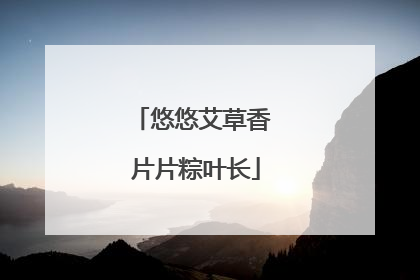悠悠艾草香 片片粽叶长