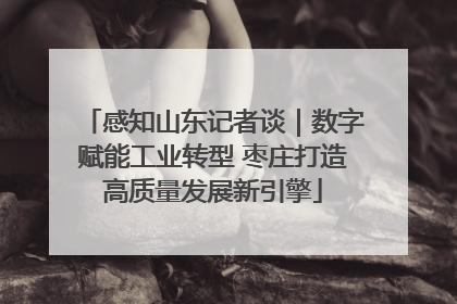 感知山东记者谈｜数字赋能工业转型 枣庄打造高质量发展新引擎