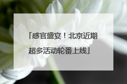 感官盛宴！北京近期超多活动轮番上线