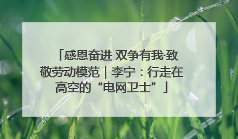 感恩奋进 双争有我·致敬劳动模范｜李宁：行走在高空的“电网卫士”