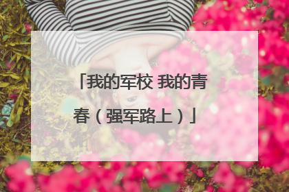 我的军校 我的青春（强军路上）