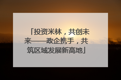 投资米林，共创未来——政企携手，共筑区域发展新高地