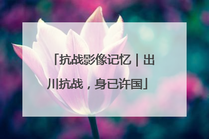 抗战影像记忆｜出川抗战，身已许国