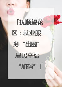 抚顺望花区：就业服务“出圈” 居民幸福“加码”