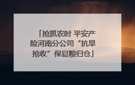 抢抓农时 平安产险河南分公司“抗旱抢收”保夏粮归仓