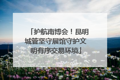 护航南博会！昆明城管坚守展馆守护文明有序交易环境
