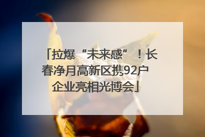 拉爆“未来感”！长春净月高新区携92户企业亮相光博会