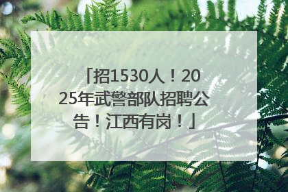 招1530人！2025年武警部队招聘公告！江西有岗！