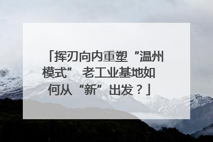 挥刃向内重塑“温州模式” 老工业基地如何从“新”出发？