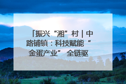 振兴“湘”村｜中路铺镇：科技赋能“金蛋产业” 全链驱动乡村振兴