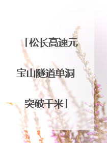 松长高速元宝山隧道单洞突破千米