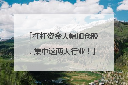 杠杆资金大幅加仓股，集中这两大行业！