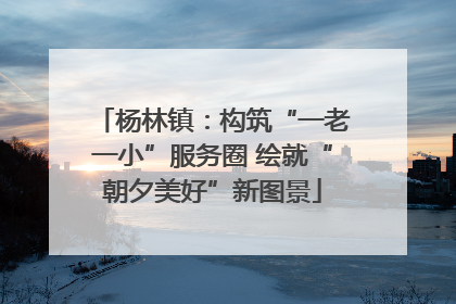 杨林镇：构筑“一老一小”服务圈 绘就“朝夕美好”新图景