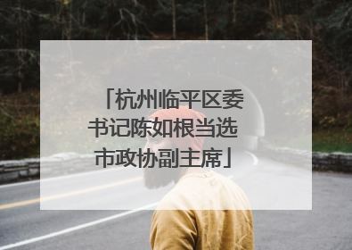 杭州临平区委书记陈如根当选市政协副主席