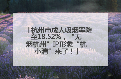 杭州市成人吸烟率降至18.52%，“无烟杭州”IP形象“杭小清”来了！