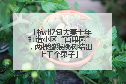 杭州7旬夫妻十年打造小区“百果园”，两棵猕猴桃树结出上千个果子
