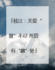 枝江：关爱“暑”不尽 托管有“趣”处