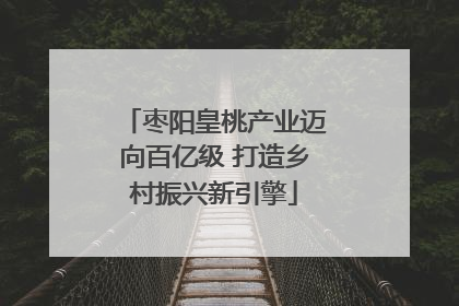 枣阳皇桃产业迈向百亿级 打造乡村振兴新引擎