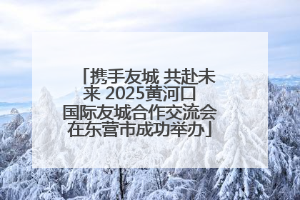 携手友城 共赴未来 2025黄河口国际友城合作交流会在东营市成功举办
