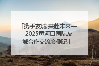 携手友城 共赴未来——2025黄河口国际友城合作交流会侧记