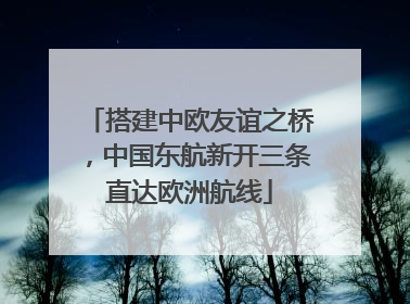 搭建中欧友谊之桥，中国东航新开三条直达欧洲航线