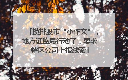 摸排股市“小作文”，地方证监局行动了，要求辖区公司上报线索
