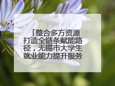 整合多方资源 打造全链条赋能路径，无锡市大学生就业能力提升服务季收官